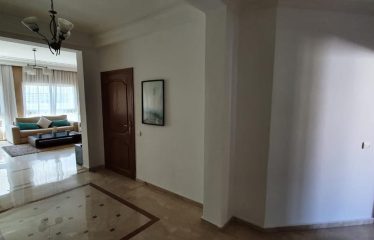 Appartement En Location Meublé Sur Racine