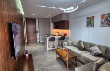 Studio En Location Sur Casa Finance City