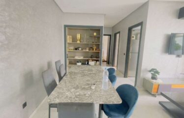 Appartement En Location Meublé Sur Casa Finance City
