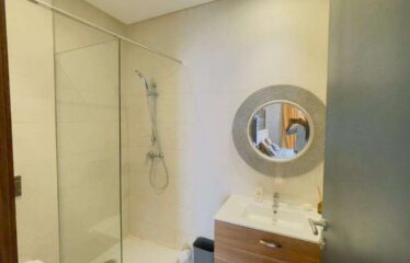 Appartement En Location Meublé Sur Casa Finance City