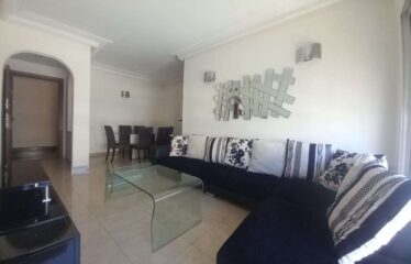 Appartement En Location Meublé Sur Gauthier