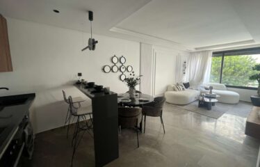Studio En Location Meublé Sur Gauthier