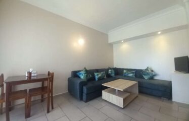 Studio En Location Meublé Sur Gauthier