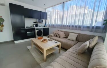 Studio En Location Meublé Sur Gauthier