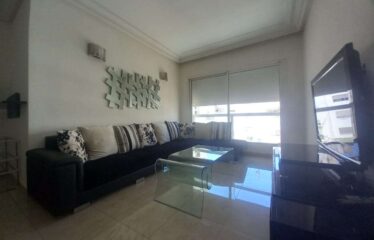 Appartement En Location Meublé Sur Gauthier