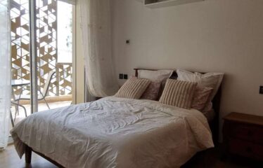 Appartement En Location Meublé Sur Casa Finance City
