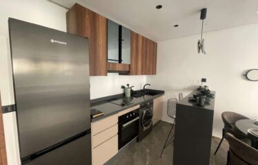 Studio En Location Meublé Sur Gauthier