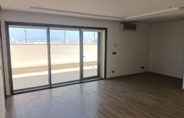 Appartement En Location Sur Palmier