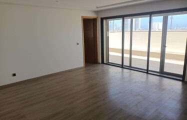 Appartement En Location Sur Palmier