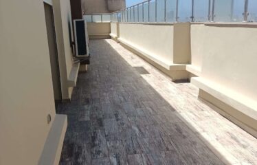 Appartement En Location Sur Palmier
