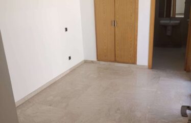 Appartement En Location Sur Palmier