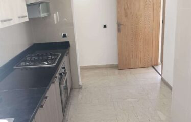 Appartement En Location Sur Palmier