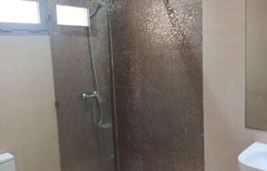 Appartement En Location Sur Palmier
