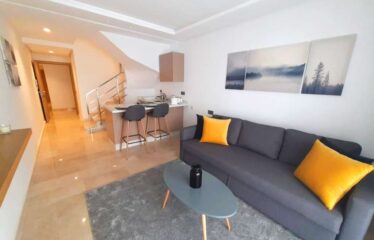 Studio En location Meublé Sur Bourgogne