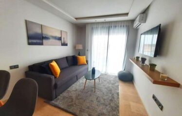 Studio En location Meublé Sur Bourgogne