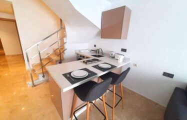 Studio En location Meublé Sur Bourgogne