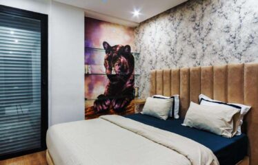 Studio En Location Meublé Sur Triangle D&rsquo;or