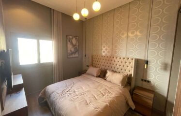 Appartement En Location Meublé Sur Gauthier