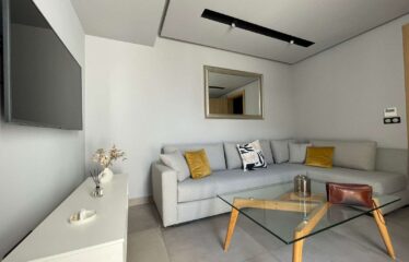 Studio En Location Meublé Sur Gauthier