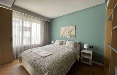 Studio En Location Meublé Sur Gauthier