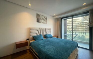 Studio En Location Meublé Sur Casa Finance City