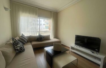 Appartement En Location Meublé Sur Gauthier