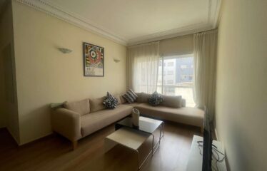 Appartement En Location Meublé Sur Gauthier