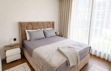 Studio En Location Meublé Sur Casa Finance City