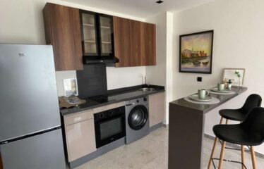 Studio En Location Meublé Sur Gauthier