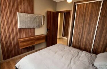 Appartement En Location Meublé Sur Gauthier