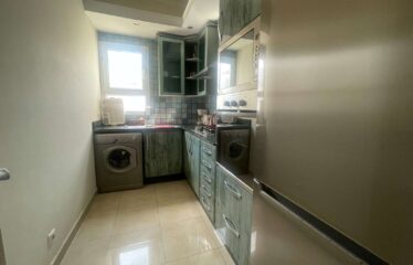 Appartement En Location Meublé Sur Gauthier