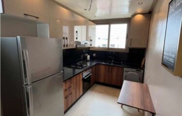 Appartement En Location Meublé Sur Gauthier