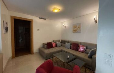 Appartement En Location Meublé Sur Gauthier