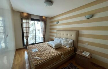 Appartement En Location Meublé Sur Gauthier
