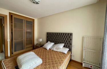 Appartement En Location Meublé Sur Gauthier