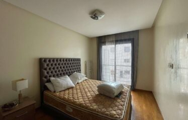 Appartement En Location Meublé Sur Gauthier