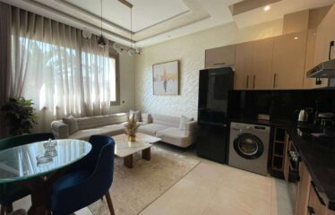 Studio En Location Meublé Sur Gauthier