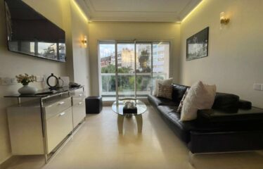 Appartement En Location Meublé Sur Racine
