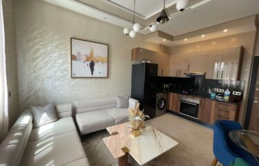 Studio En Location Meublé Sur Gauthier