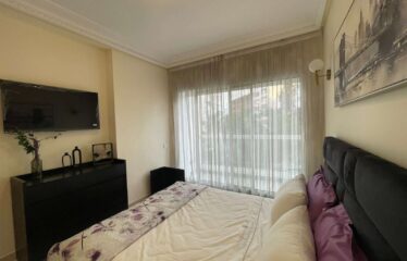 Appartement En Location Meublé Sur Racine
