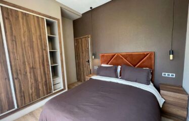 Studio En Location Meublé Sur Gauthier