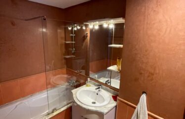 Appartement En Location Meublé Sur Gauthier